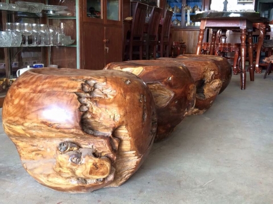 ขายก้อนรากไม้ปุ่มไม้สักเก่าโบราณ ขนาดเส้นรอบวง 1.5 เมตร ตันๆ หนักๆ