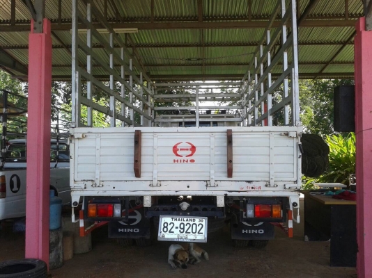 ขาย 6 ล้อ HINO UERO 3 ปี 56 ออกห้างมือเดียว เครื่องดีไม่เคยแกะ คัสซีสวยตลอดเส้น ยางเต็ม วิ่งน้อยแค่ 10,000 กว่าโล ราคาต่อรองได้ครับ ขาย 6 ล้อ HINO UERO 3 ปี 56 ออกห้างมือเดียว เครื่องดีไม่เคยแกะ คัสซีสวยตลอดเส้น ยางเต็ม วิ่งน้อยแค่ 10,000 กว่าโล ราคาต่อรองได้ครับ