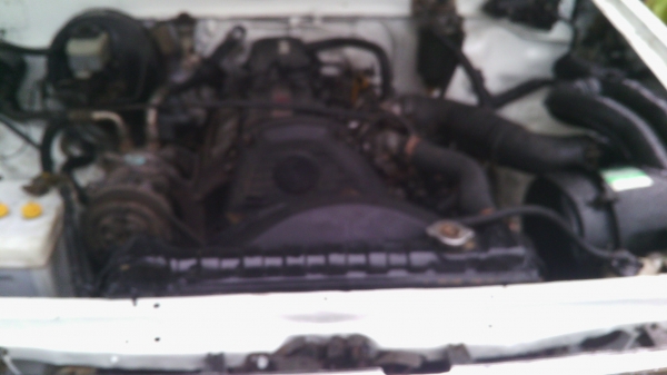 ขายไมตี้เอกแคป ขายไมตี้เอกแคป