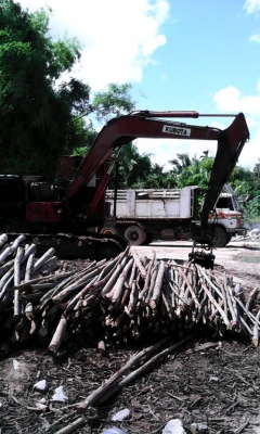 ขายแม็คโค คูโบต้า คีบไม้  ราคา 200,000 บาท