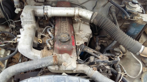 nissan big M nissan big M