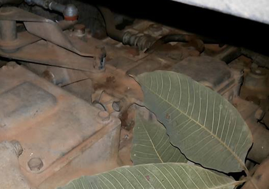 **1,500,000 บ.ต่อรอง/// 10ล้อ2เพลาดั้ม ISUZU DECA FXZ-270 ยูโรวัน (แม่เดี่ยว) ดั้มเนียม มีระบบลาก **ขาย ISUZU DECA FXZ-270 ยูโรวัน 10ล้อ2เพลาดั้มมิเนียม สภาพพร้อมใช้งาน ISUZU DECA FXZ23NZPF T 6SD1-Turbo 270HP EURO-1ปี46 เครื่องเดิม เกียร์เดิม เฟืองช้า เคร **1,500,000 บ.ต่อรอง/// 10ล้อ2เพลาดั้ม ISUZU DECA FXZ-270 ยูโรวัน (แม่เดี่ยว) ดั้มเนียม มีระบบลาก **ขาย ISUZU DECA FXZ-270 ยูโรวัน 10ล้อ2เพลาดั้มมิเนียม สภาพพร้อมใช้งาน ISUZU DECA FXZ23NZPF T 6SD1-Turbo 270HP EURO-1ปี46 เครื่องเดิม เกียร์เดิม เฟืองช้า เคร