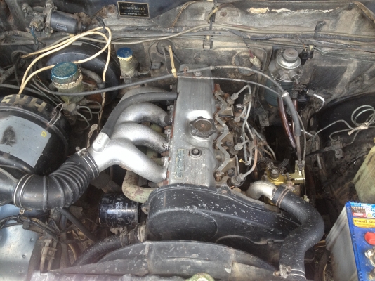 cyclone l200 ขายได้ขาย