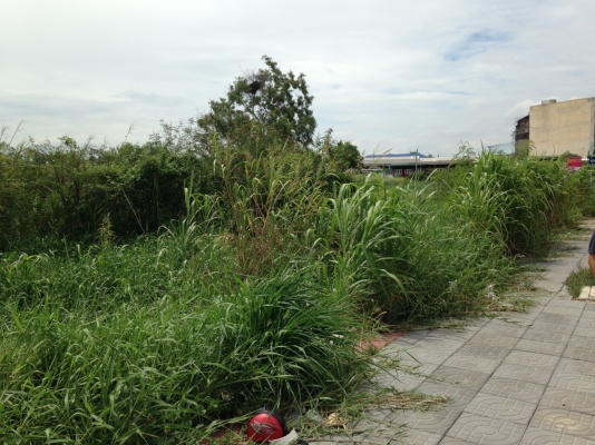 ขายที่ดิน แยกบางคูวัด ติดถนน 307   ขนาดที่ดิน 6 ไร่ 1 งาน 65 ตารางวา  อยู่ติดถนนหลวง 307 กรุงเทพ - ปทุมธานี สถานที่ใกล้เคียง  อยู่ระหว่างหมู่บ้านชวนชื่น ฟลอร่าวิลล์ และ โชว์รูมอีซูซุ ห่างจากแยกบางคูวัด 3กิโลเมตร  ขายทั้งหมด 55 ล้านบ้าน http://www.jaosap.c