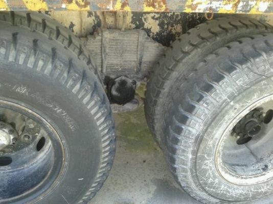 ขาย10ล้อ เพลาเดียว พร้อมเต้าปูน