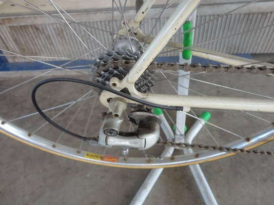 ขาย marushi เสือหมอบ เป็นอลูมิเนียม ขาย marushi เสือหมอบ เป็นอลูมิเนียม