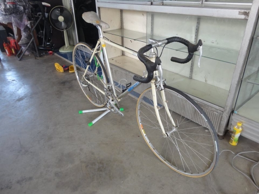 ขาย marushi เสือหมอบ เป็นอลูมิเนียม ขาย marushi เสือหมอบ เป็นอลูมิเนียม