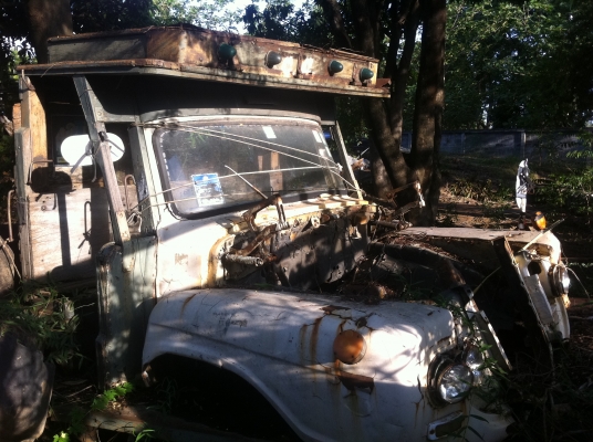 หัวหน้ายาว ตามสภาพ