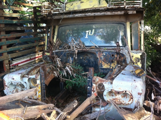 หัวหน้ายาว ตามสภาพ