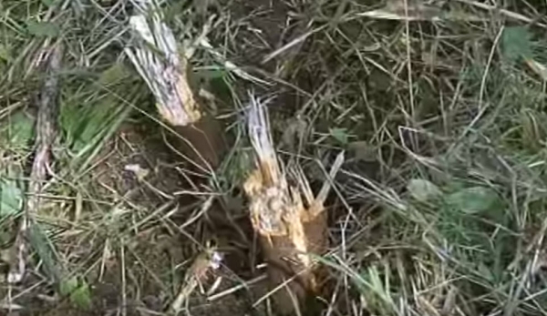 รถตัดหญ้านั่งขับ ยี่ห้อ Crossjet 4x4 เครื่องยนต์ขนาด 23 แรงม้า