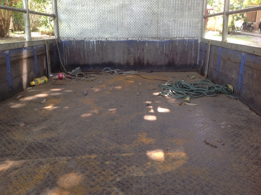 ขาย 4 ล้อ การ์ตูน ราคา เบาๆ ขาย 4 ล้อ การ์ตูน ราคา เบาๆ