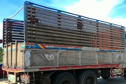 ขายกะบะไม้สวยและถูกมาก