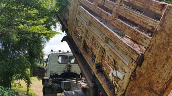 ขายสิบล้อ2เพลา ISUZU ROCKY FVZ12MY