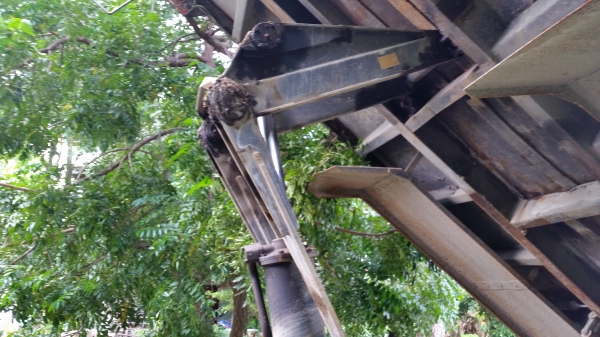 ขายสิบล้อ2เพลา ISUZU ROCKY FVZ12MY