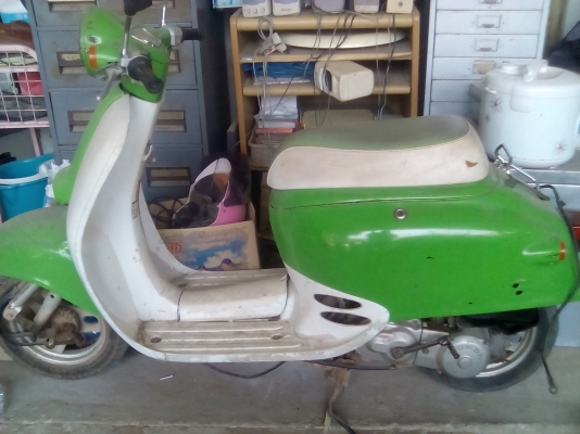 ขายเวปป้าน้อย14500