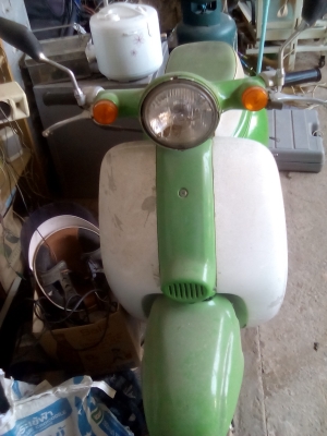 ขายเวปป้าน้อย14500