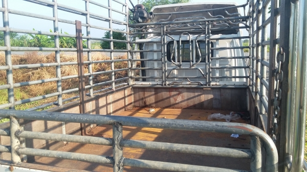 4 ล้อป้ายเล็กไม่ติดเวลา NKR66E เครื่อง120แรง 4HF1ดีเซล จดทะเบียนปี 52 แอร์ เพาเวอร์ กระจกไฟฟ้า คอกลงเล่มถูกต้อง