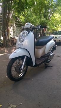 ขายลูกเดียว scoopy i หัวฉีด ปี2553 พร้อมใช้ มีเล่มเอกสารครบ