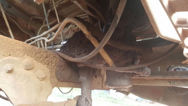 ขาย 10 ล้อดั้ม 2 เพลา คัสซี CHEVROLET เครื่อง 6HE1 195 แรงม้า เกียร์ ZF คัสซีสวย ช่วงล่าง+หัวเก๋ง SUMO เบรคลมดัน พาวเวอร์ ทะเบียนพร้อมโอน ขาย 10 ล้อดั้ม 2 เพลา คัสซี CHEVROLET เครื่อง 6HE1 195 แรงม้า เกียร์ ZF คัสซีสวย ช่วงล่าง+หัวเก๋ง SUMO เบรคลมดัน พาวเวอร์ ทะเบียนพร้อมโอน