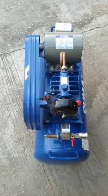 ขาย ปั๊มลม Puma PP1