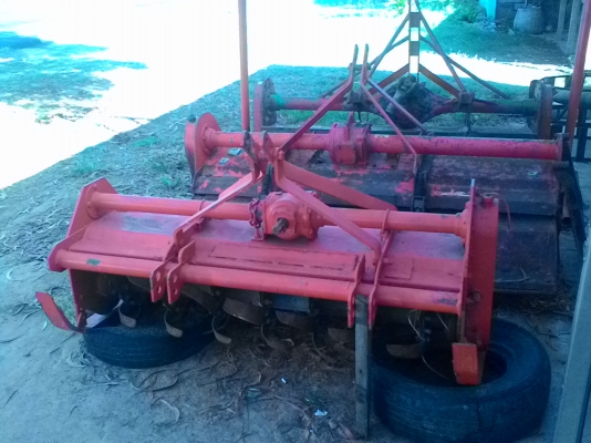 ขายตัดคะตราช้าง1.80ราคา19,000