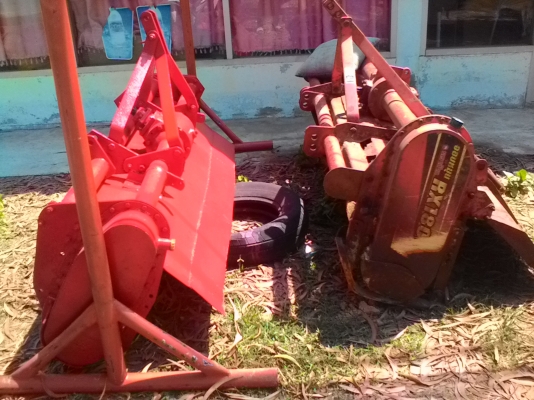 ขายตัดคะตราช้าง1.80ราคา19,000