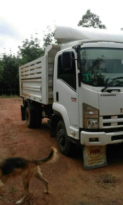 รถอีซูซุ 6 ล้อดั้ม FRR 210 แรงม้า  ปี 55.  ( รถวิ่ง 1xx,xxx กม. )     สนใจติดต่อ   081 - 6079515