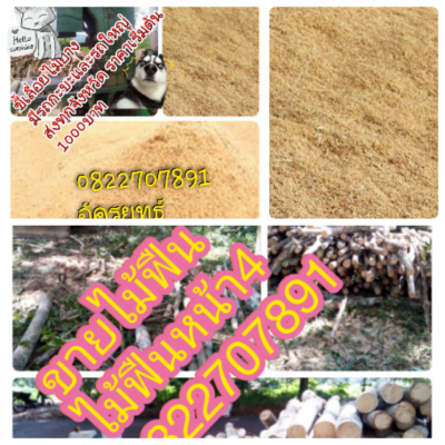 ขี้เลื่อยไม้ยางพารา