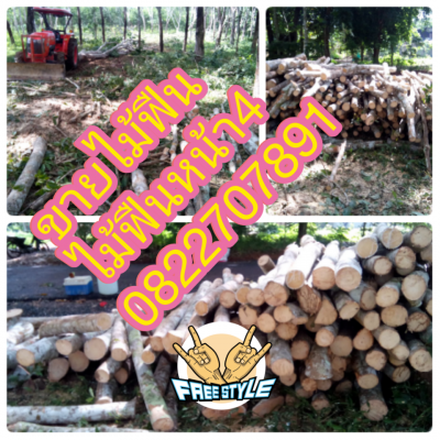 ขี้เลื่อยไม้ยางพารา