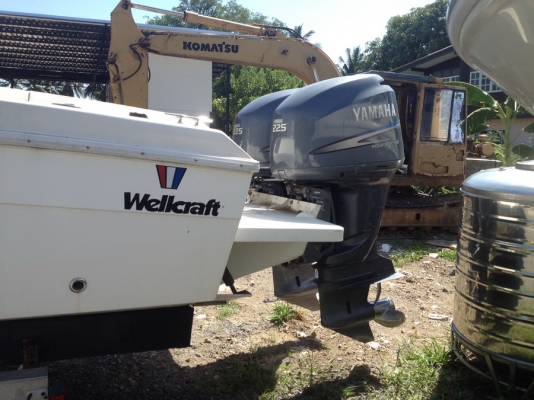 เรือตกปลา Wellcraft 31ฟุต