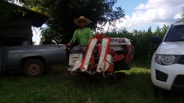 วันนี้วันเดียวครับลดสุดๆเพียง45000บาท รถเกี่ยวนวดข้าวนั่งขับเล็กพร้อมใช้ ราคาเบาๆ ครับดีกว่าจ้างแรงงานคนครับวันละ2-3ไร่