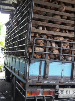 ขายถูกๆ2คัน 495,000บ หกล้อ อีซูซุ NKR110~NPR115 รถห้างแท้ สภาพดีสวยบางเดิมพร้อมใช้ ทะเบียนพร้อมโอน