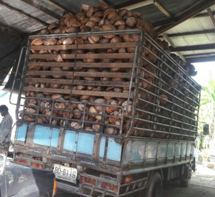 ขายถูกๆ2คัน 495,000บ หกล้อ อีซูซุ NKR110~NPR115 รถห้างแท้ สภาพดีสวยบางเดิมพร้อมใช้ ทะเบียนพร้อมโอน