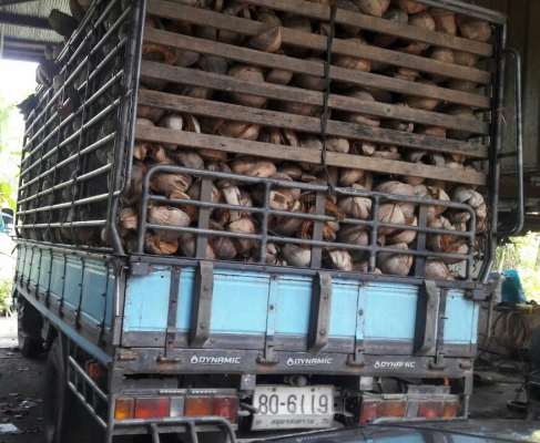 ขายถูกๆ2คัน 495,000บ หกล้อ อีซูซุ NKR110~NPR115 รถห้างแท้ สภาพดีสวยบางเดิมพร้อมใช้ ทะเบียนพร้อมโอน