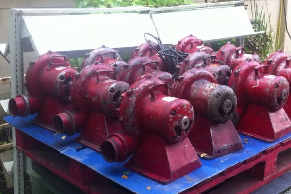 โบว์เวอร์เป่า 3"