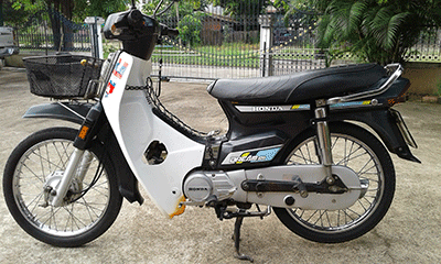 ดรีมตูดเป็ด ดรีมตูดเป็ด