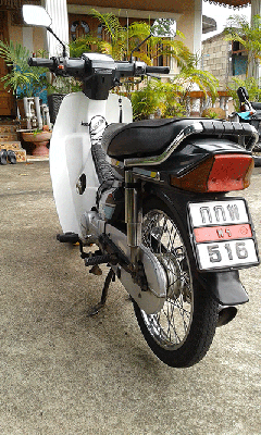 ดรีมตูดเป็ด ดรีมตูดเป็ด