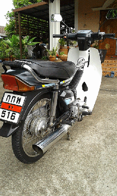 ดรีมตูดเป็ด ดรีมตูดเป็ด