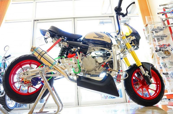 โปรโมชั่น ลดราคามังกี้ กอลิล่า มีให้เลือกหลากหลายแบบ ไม่ซ้ำ ขับสนุก ขับมัน ทนทาน  เริ่มต้น2XXXX