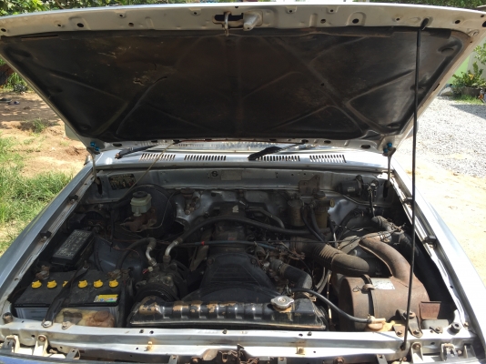 ไมตี้ ปี96 เล่มพร้อมโอน ไมตี้ ปี96 เล่มพร้อมโอน