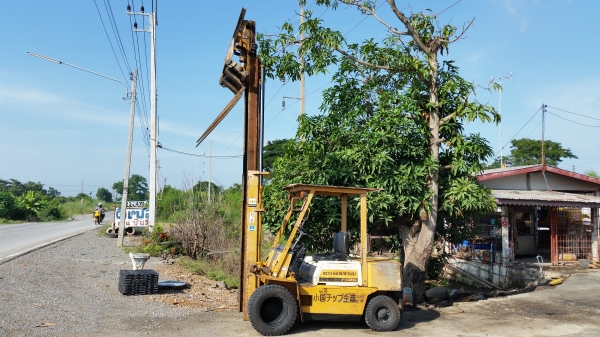 ขายด่วนรถยกKOMATSU FD25-10 ดีเซลยก2.5ตันเสาสูง3.5เมตรงากะดกได้รถนอกนำเข้ายังไม่เคยใช้งานในเมืองไทยเลย