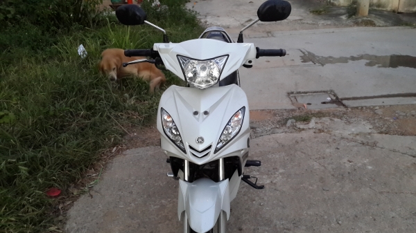 Spark 135 RX Spark 135 RX