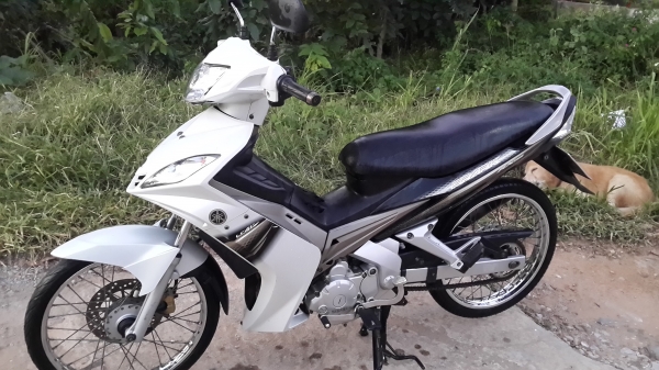 Spark 135 RX