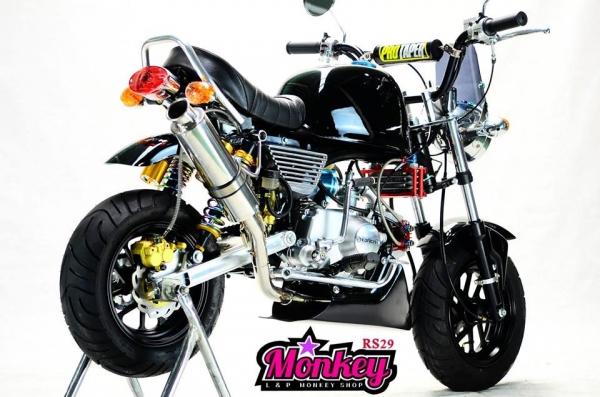 รถต้นแบบ MSX มังกี้ กอลิล่า แต่ง มี100 แบบให้เลือก