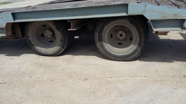 ขายหางโลเบสไม่มีเล่มทะเบียนต่อรองได้