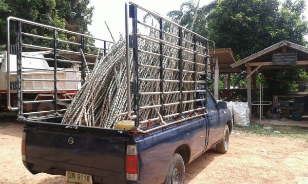 ขายกระบะตอนเดียว NISSAN FRONTIER ปี 2547 เครื่อง TD27 คัสซีสวยตลอดเส้น แอร์เย็น ทะเบียนพร้อมโอน ขายกระบะตอนเดียว NISSAN FRONTIER ปี 2547 เครื่อง TD27 คัสซีสวยตลอดเส้น แอร์เย็น ทะเบียนพร้อมโอน