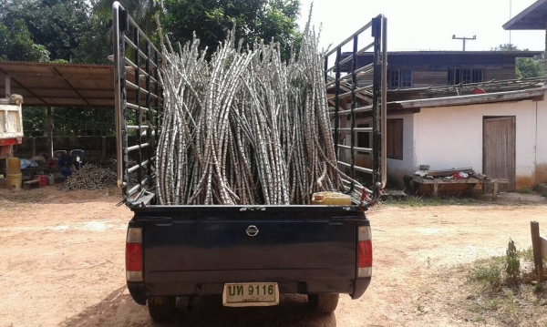 ขายกระบะตอนเดียว NISSAN FRONTIER ปี 2547 เครื่อง TD27 คัสซีสวยตลอดเส้น แอร์เย็น ทะเบียนพร้อมโอน ขายกระบะตอนเดียว NISSAN FRONTIER ปี 2547 เครื่อง TD27 คัสซีสวยตลอดเส้น แอร์เย็น ทะเบียนพร้อมโอน