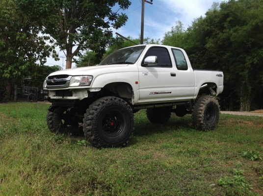 ขายtiger คานแข็ง ขายtiger คานแข็ง