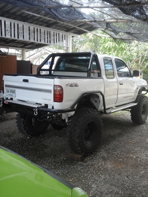 ขายtiger คานแข็ง ขายtiger คานแข็ง