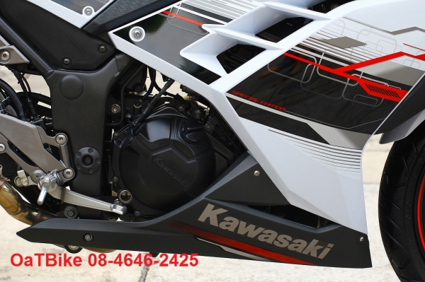 ขาย Ninja 300  สีเดิมทั้งคัน แต่งสวย สภาพไม่แพ้รถใหม่